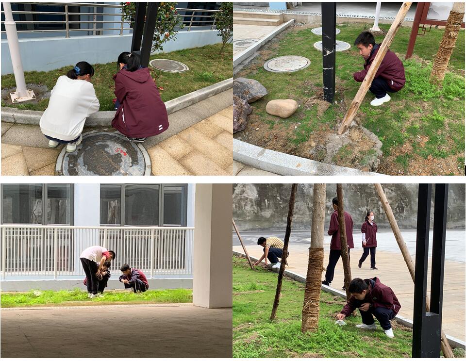 1618643449677621.jpg QQ截圖20210417151021.jpg